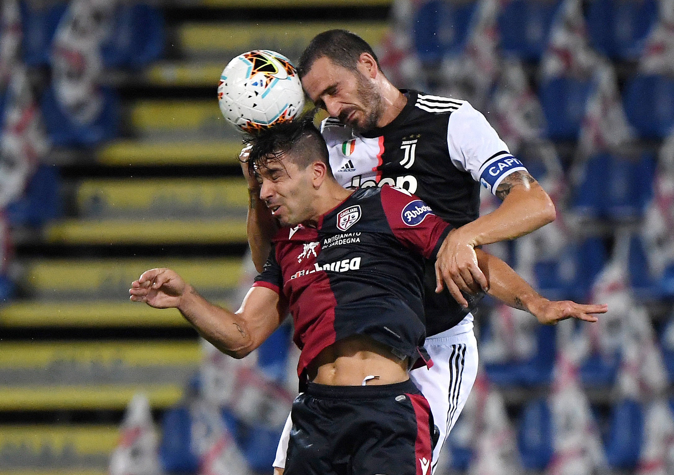 在这篇文章 在这篇文章