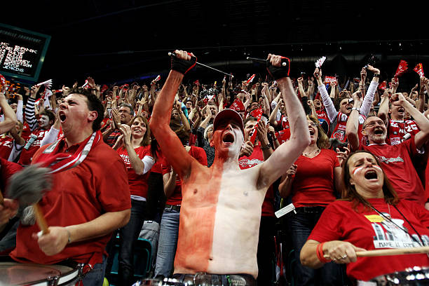 门都极为高 门都极为高